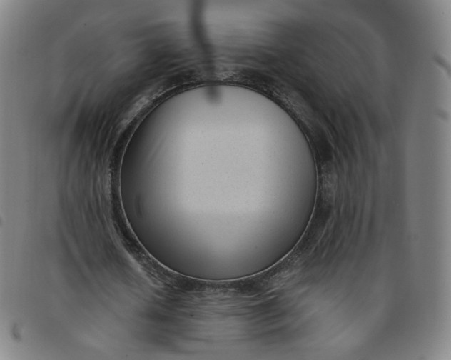 X0000097500626200803071803