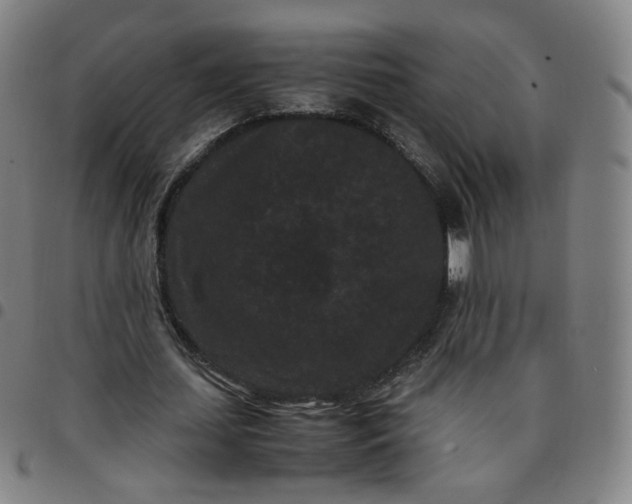 X0000097500627200803071803