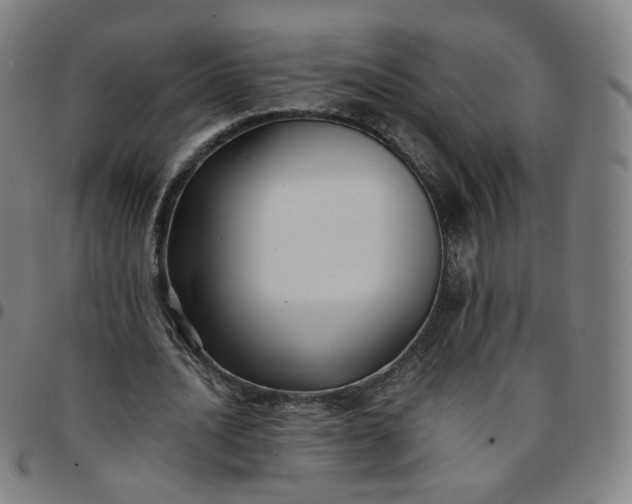 X0000097500628200803071803