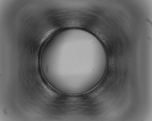 X0000097500629200803071803