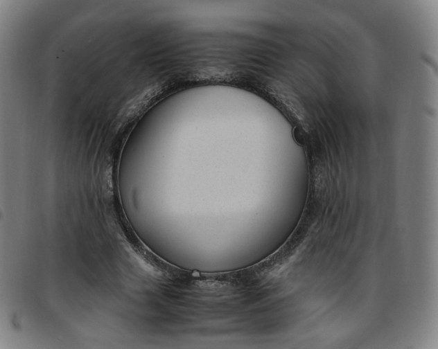 X0000097500633200803071803