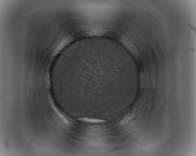 X0000097500634200803071803