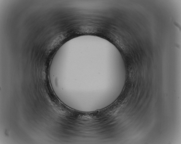 X0000097500635200803071803