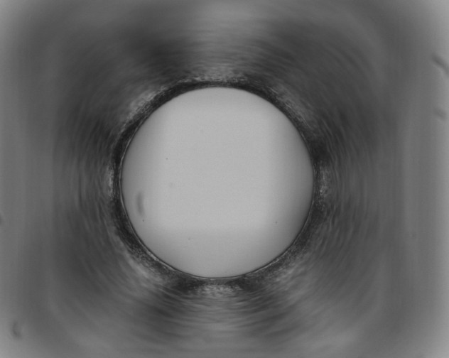 X0000097500636200803071803