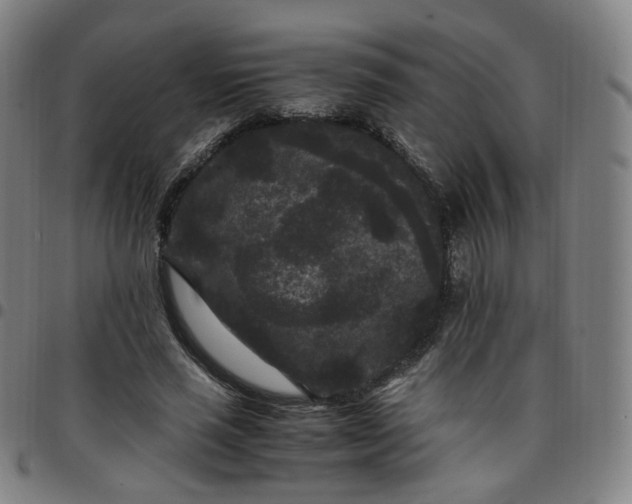 X0000097500637200803071803