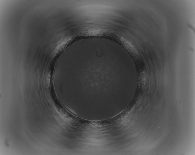 X0000097500640200803071803