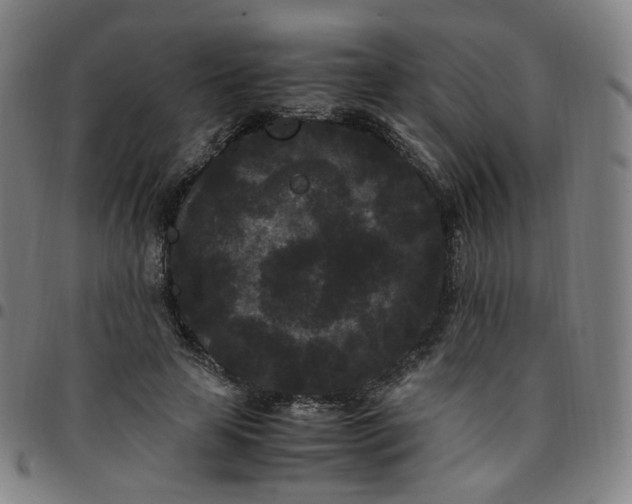 X0000097500641200803071803