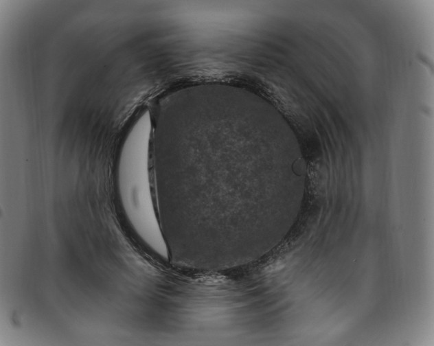 X0000097500642200803071803
