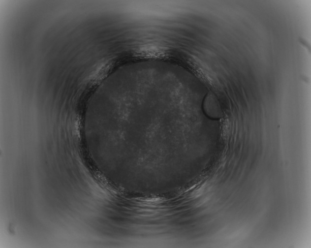 X0000097500643200803071803