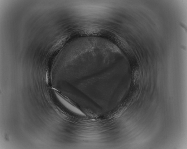 X0000097500644200803071803