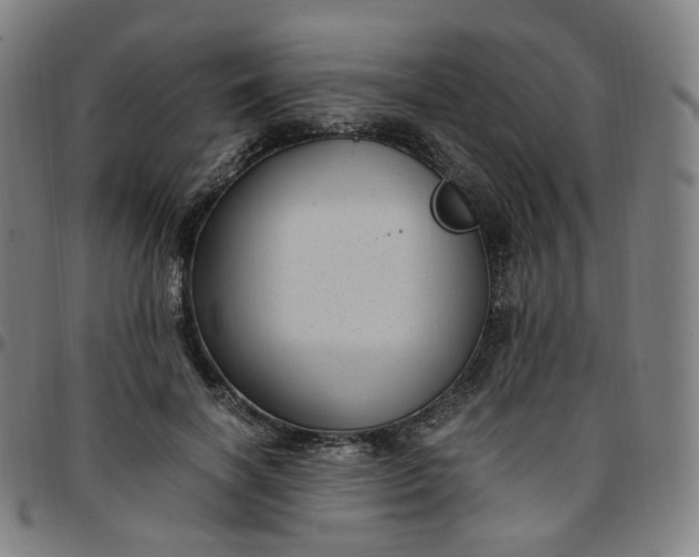 X0000097500646200803071803