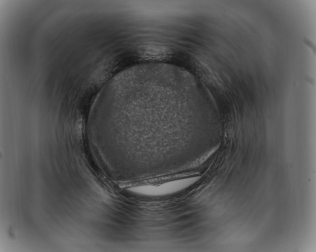 X0000097500647200803071803