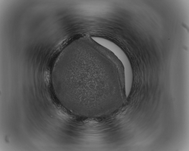 X0000097500648200803071803
