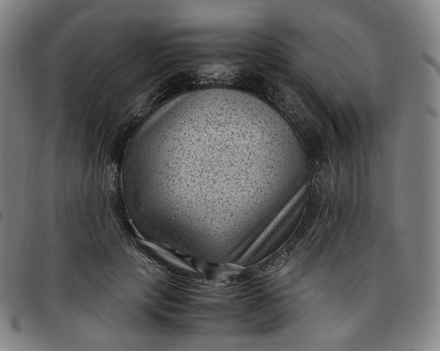X0000097500649200803071803