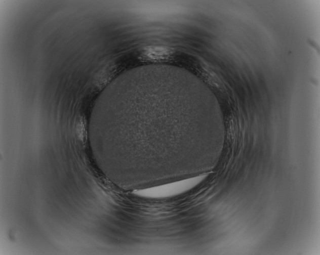 X0000097500651200803071803