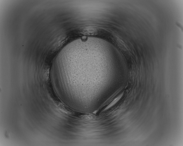 X0000097500652200803071803