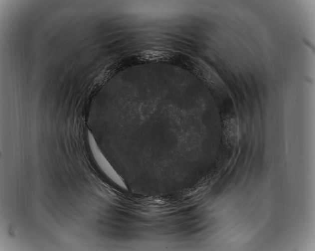 X0000097500653200803071803