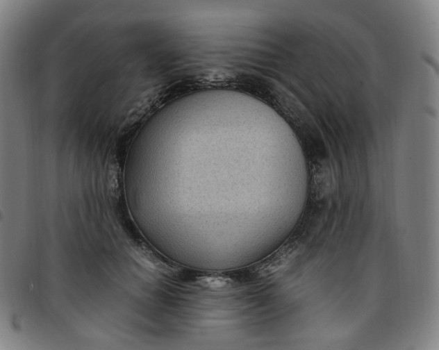 X0000097500654200803071803