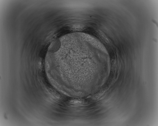 X0000097500655200803071803