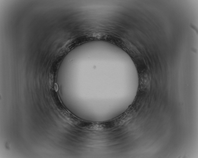 X0000097500656200803071803