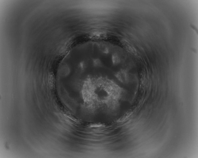 X0000097500659200803071803