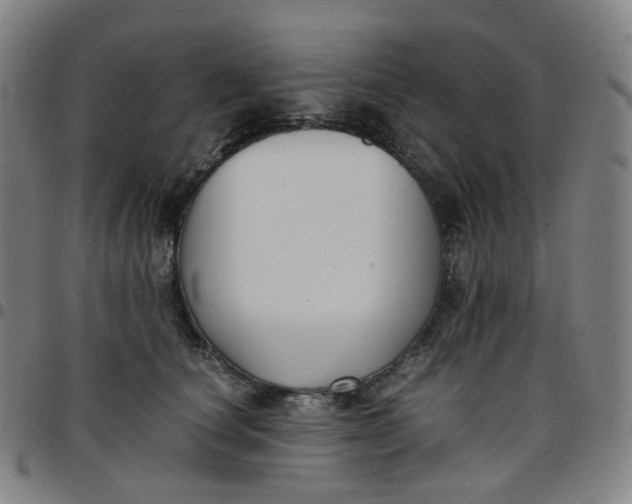 X0000097500660200803071803