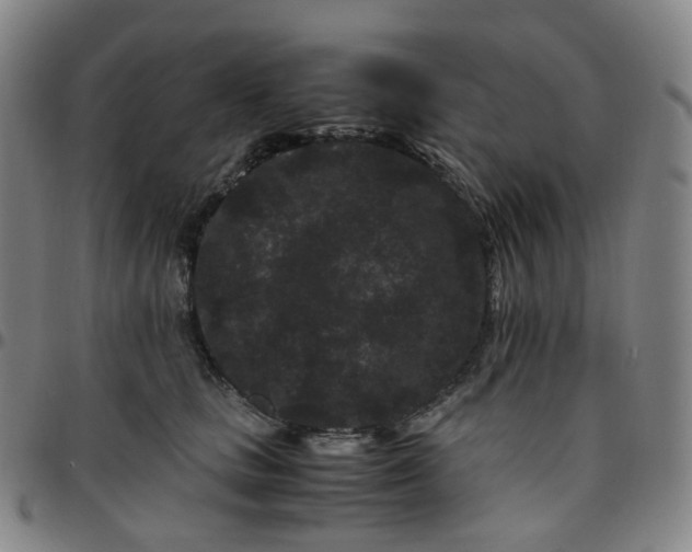 X0000097500661200803071803