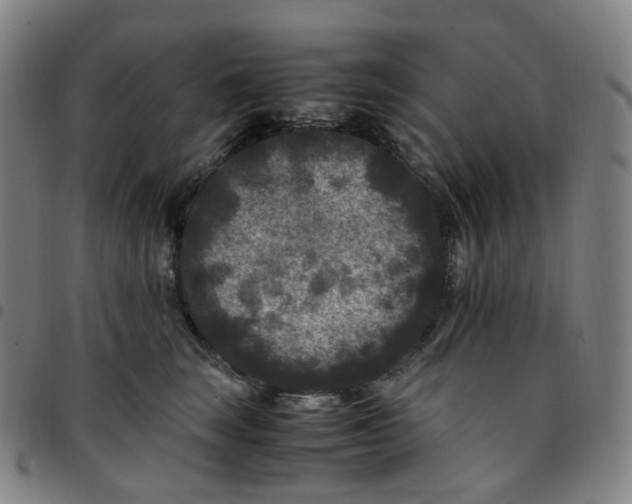 X0000097500663200803071803