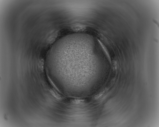 X0000097500664200803071803