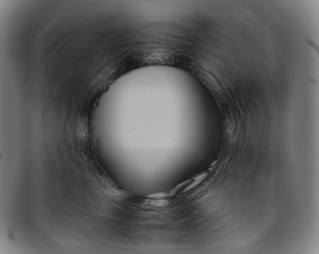 X0000097500665200803071803