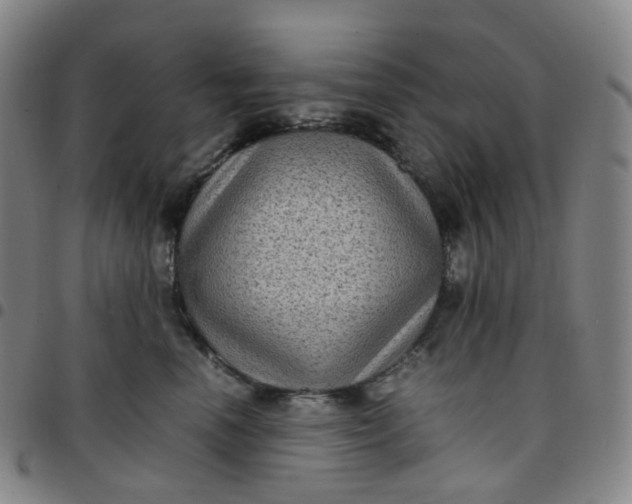 X0000097500666200803071803