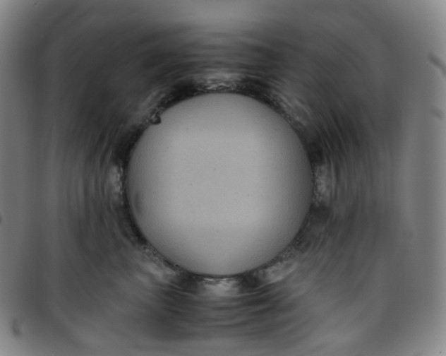 X0000097500667200803071803