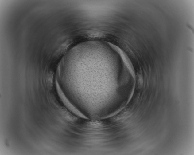 X0000097500668200803071803