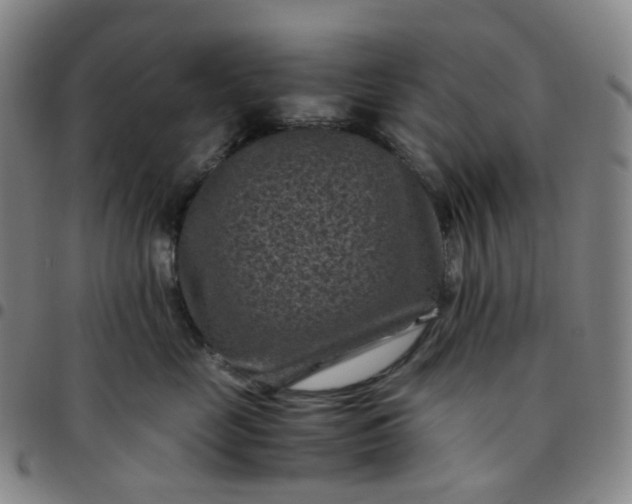 X0000097500669200803071803