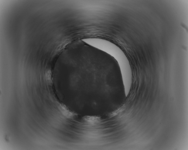 X0000097500670200803071803