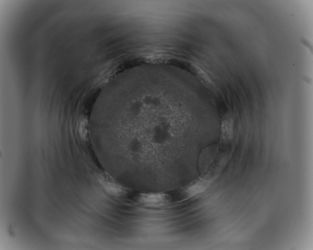 X0000097500671200803071803