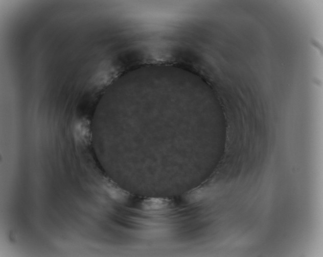 X0000097500672200803071803