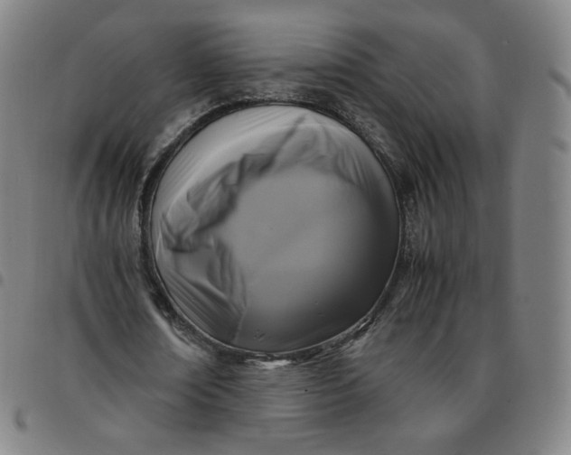 X0000097500674200803071803