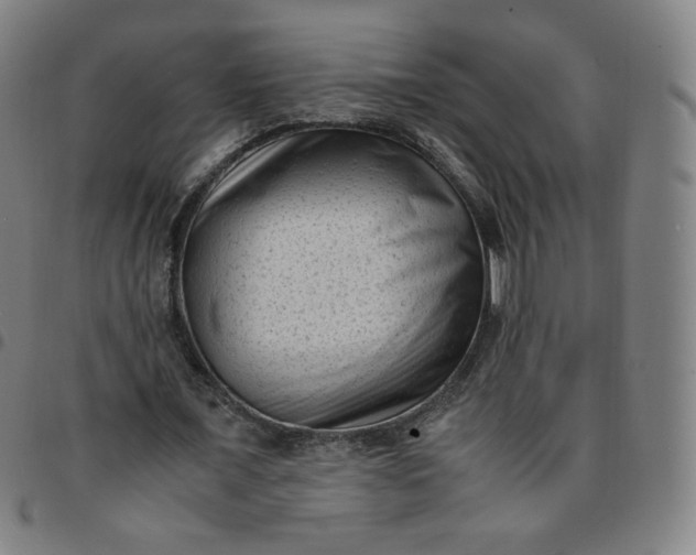 X0000097500675200803071803