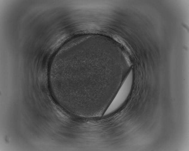 X0000097500677200803071803