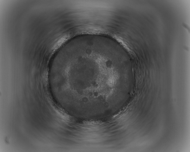 X0000097500679200803071803