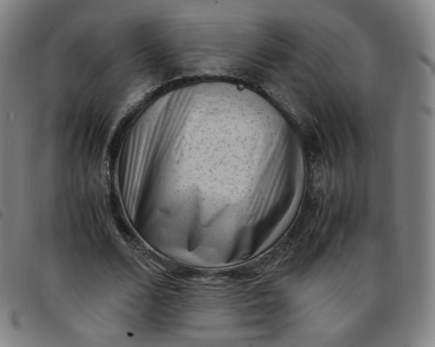 X0000097500680200803071803