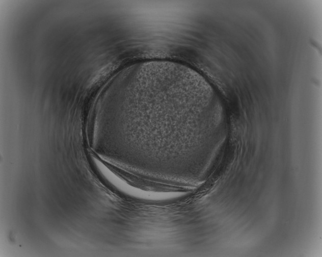 X0000097500681200803071803