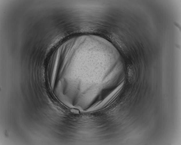 X0000097500684200803071803