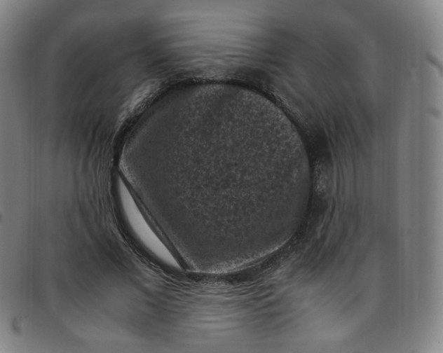X0000097500685200803071803