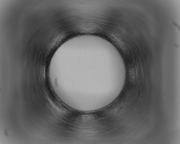 X0000097500686200803071803