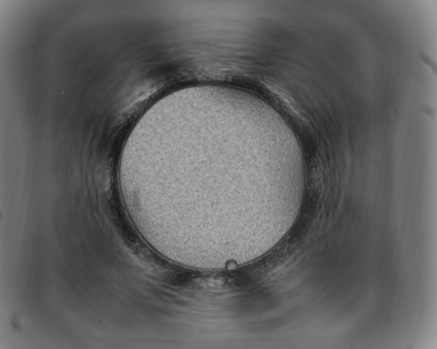 X0000097500687200803071803
