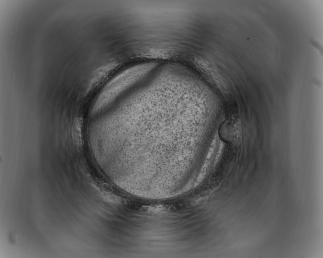 X0000097500688200803071803