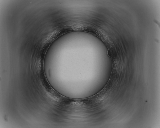 X0000097500690200803071802