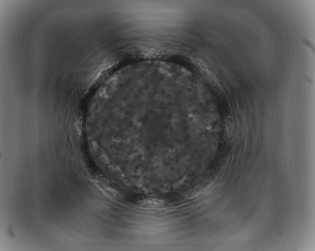 X0000097500691200803071802